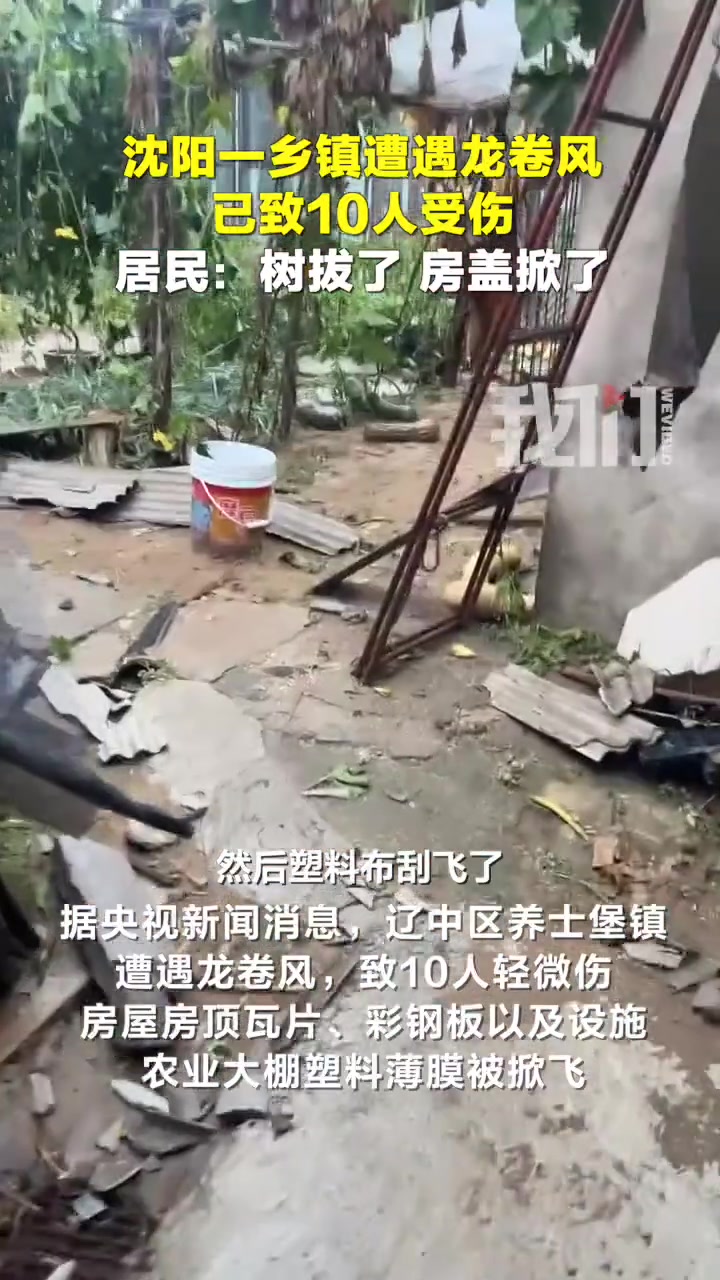 阳辽中一乡镇遭遇龙卷风，树拔了房盖掀了棚子刮倒了