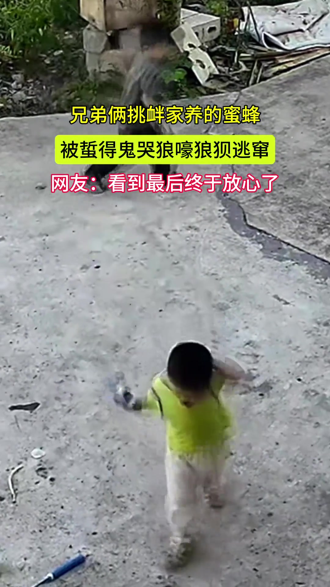 兄弟俩挑衅家养的蜜蜂被蜇得鬼哭狼嚎狼狈逃窜