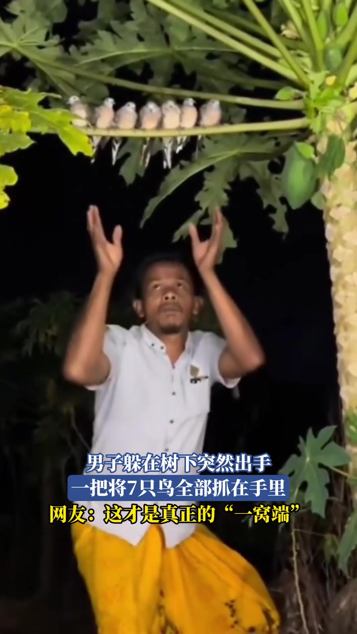 男子躲在树下突然出手，一把将7只鸟全部抓在手里