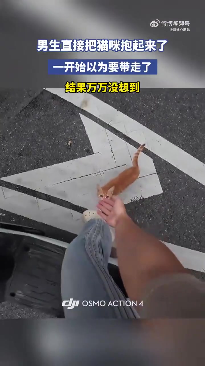 男生抱起猫咪以为要带走，结果出乎意料