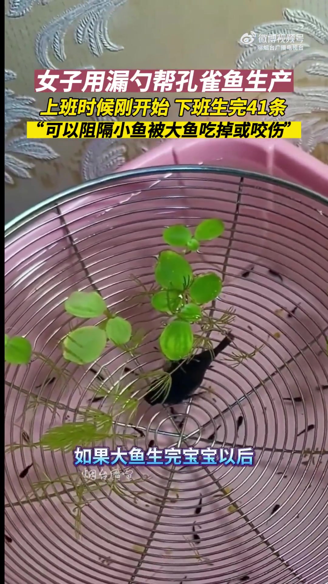 果然实践出真知