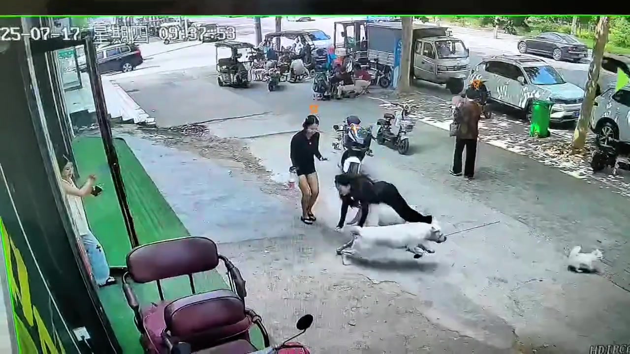 小姐姐：被狗撞飞是种什么体验！