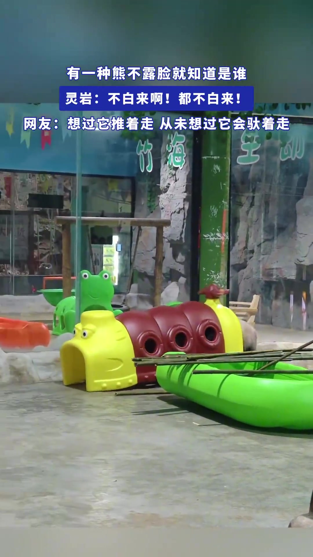 灵岩体验超值，网友：没想过会驮着走