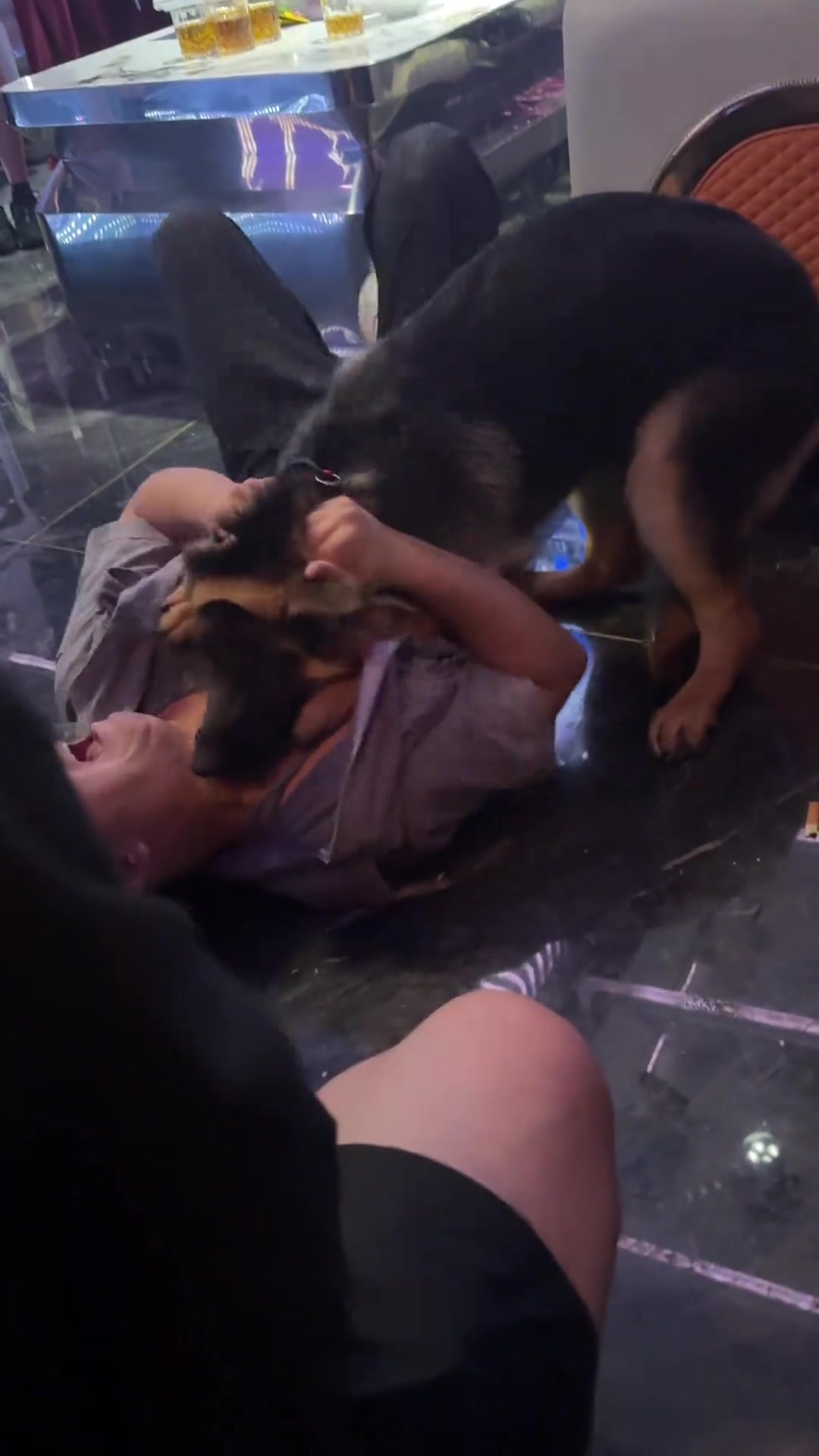 要拍一段恶犬伤人的戏，狗子吓够呛