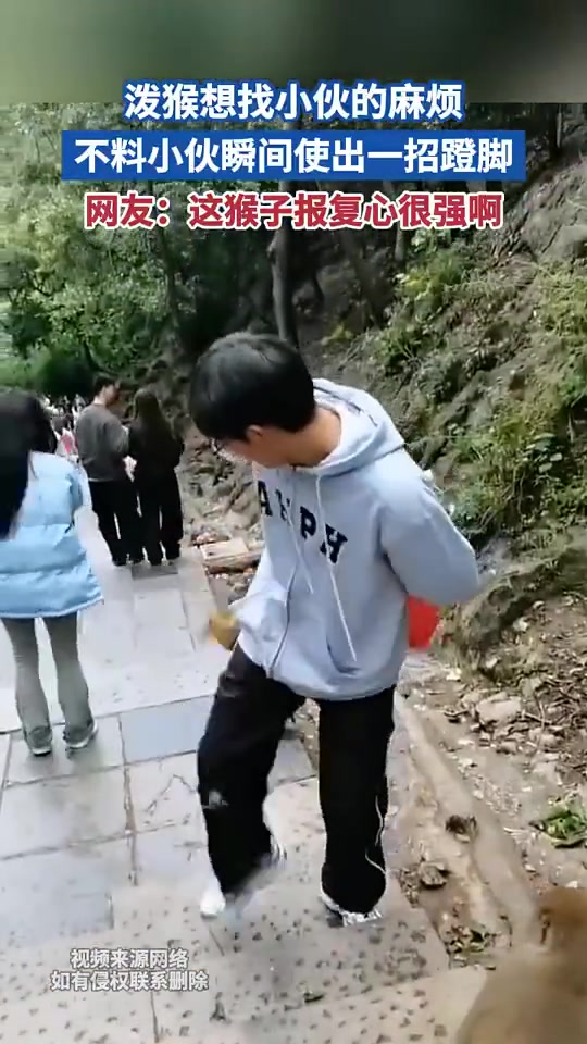 泼猴找小伙麻烦，小伙一脚蹬开，网友：猴子报复心强