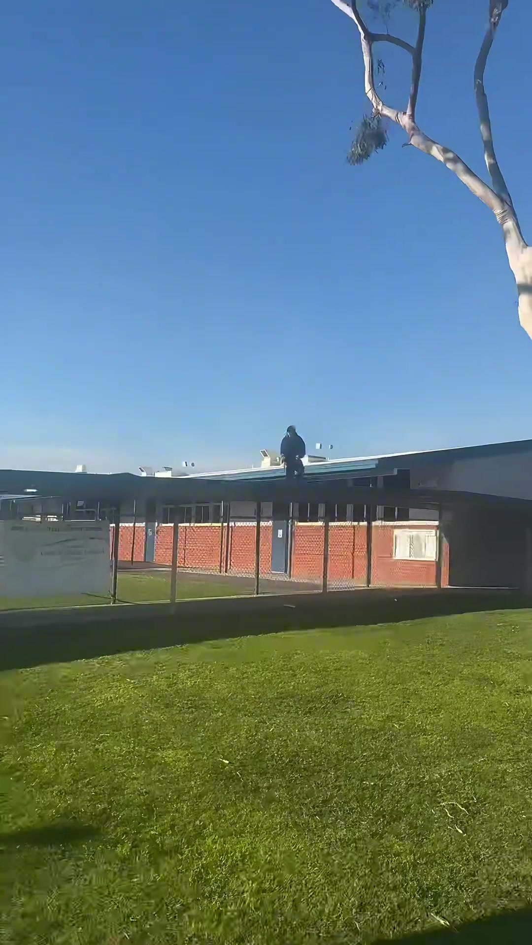 表演一个空中落地接劈叉，然后是时候好好休息一阵子了！