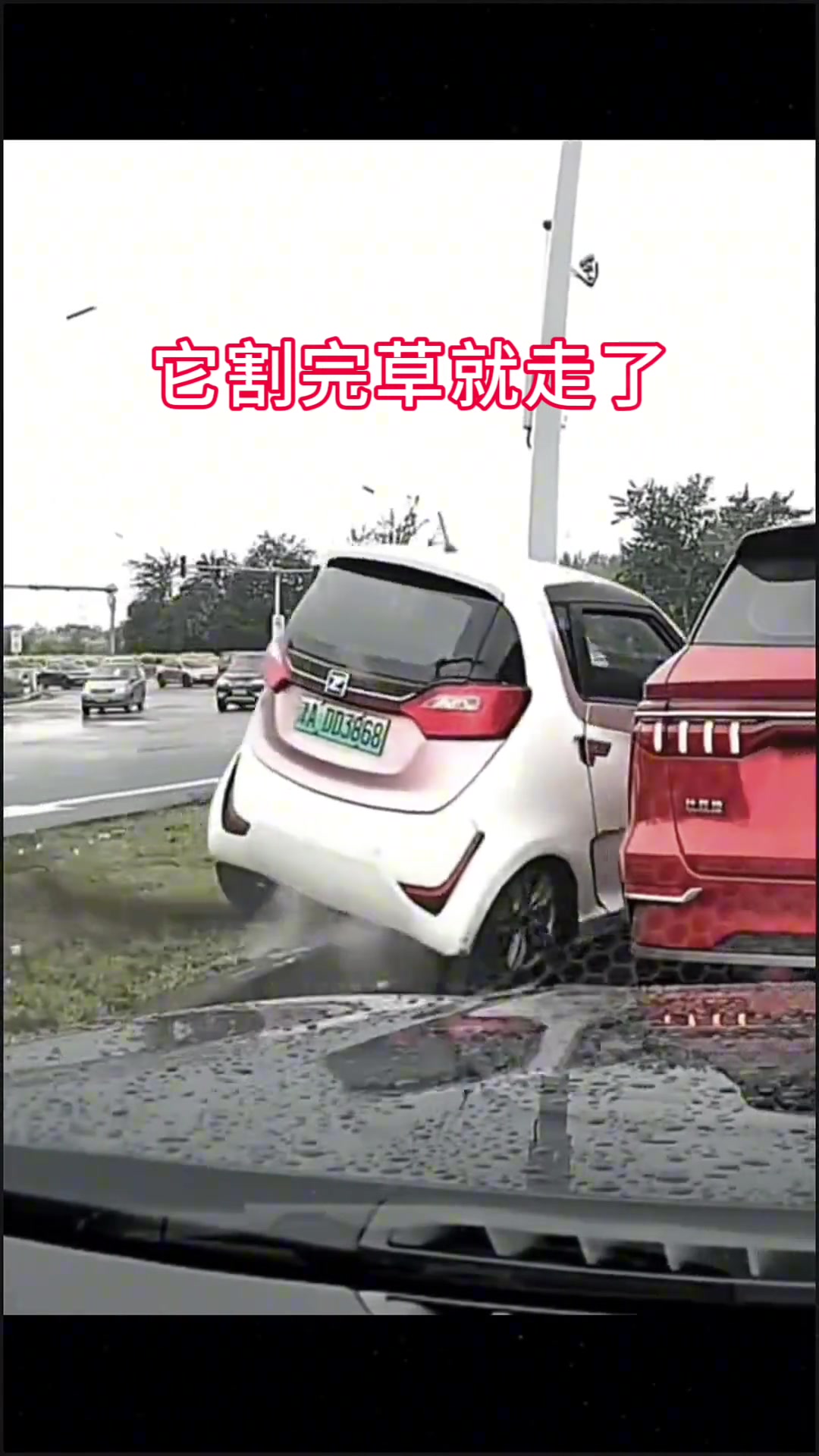 她割完草转身就走了，像是下定了某种决心