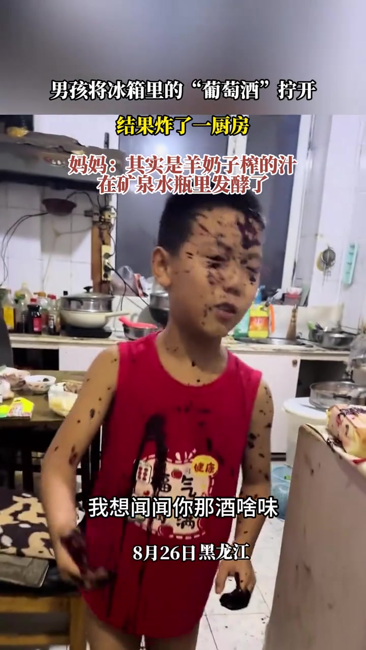 男孩将冰箱里的“葡萄酒”拧开，结果炸了一厨房！