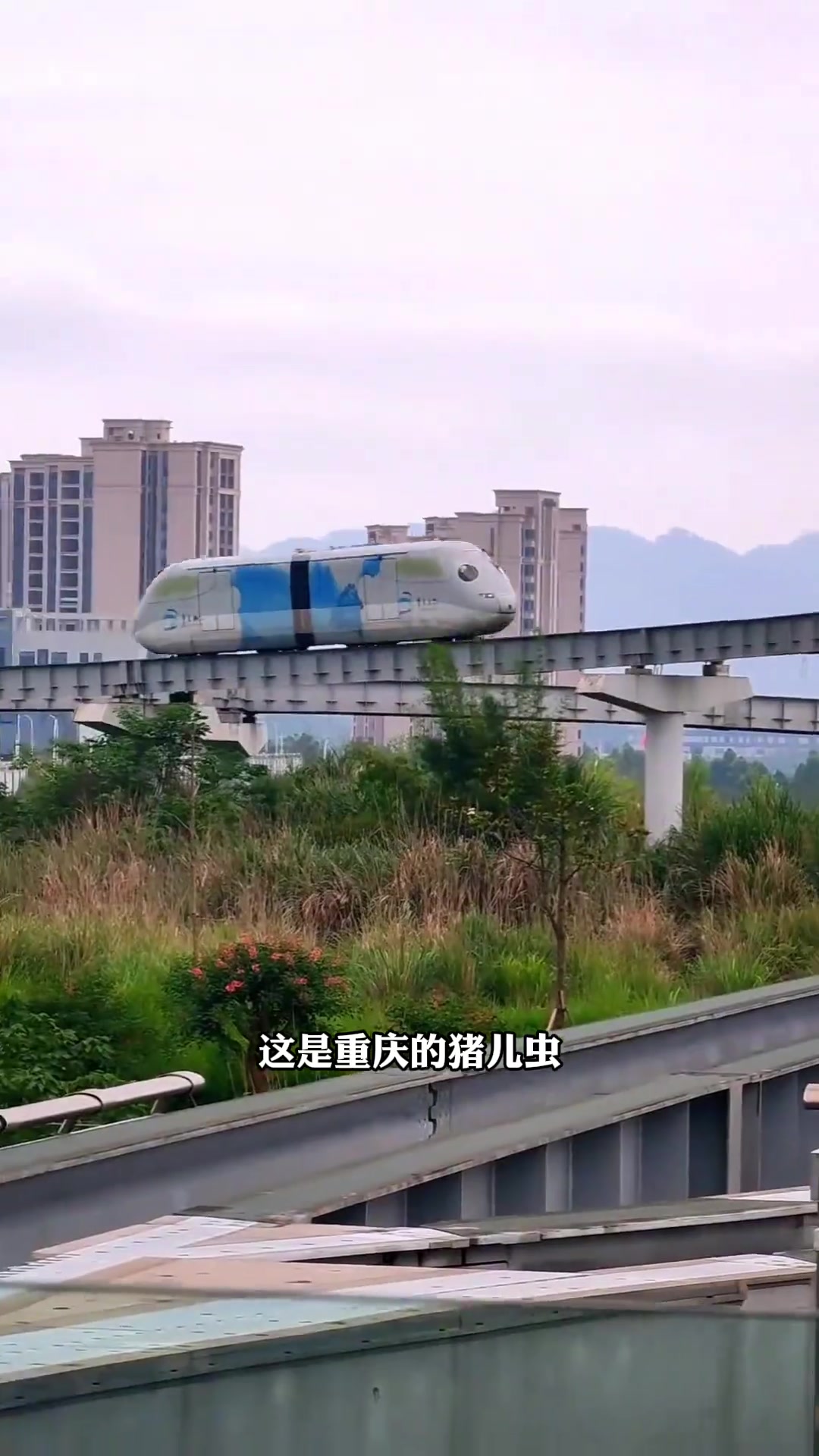 重庆到底有多魔幻，你知道吗驾驶证分不够的不要开车去哦