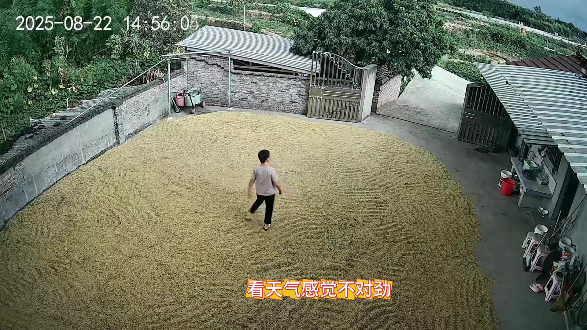 来自“偏东雨”的压迫感，5分钟紧张刺激，一切都刚刚好！