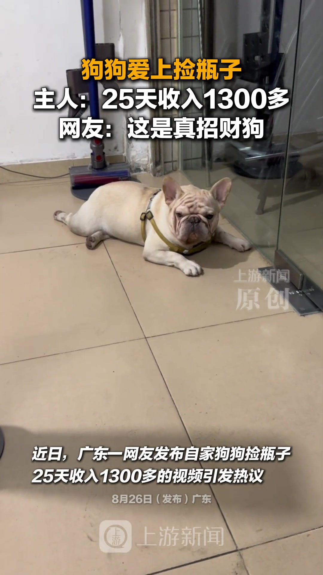 这是真招财狗啊！！