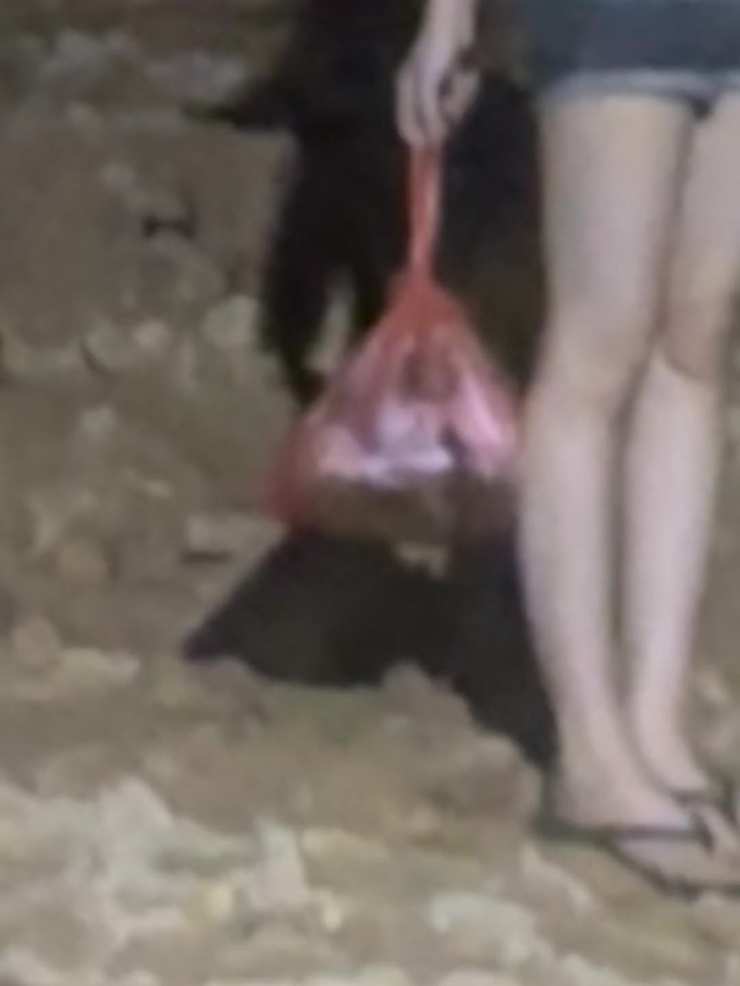 看到这一幕，吧友们羡慕了吗！