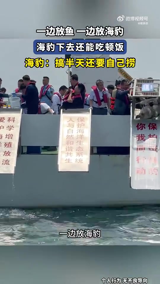 一边放鱼一边放海豹，海豹：还要自己捞