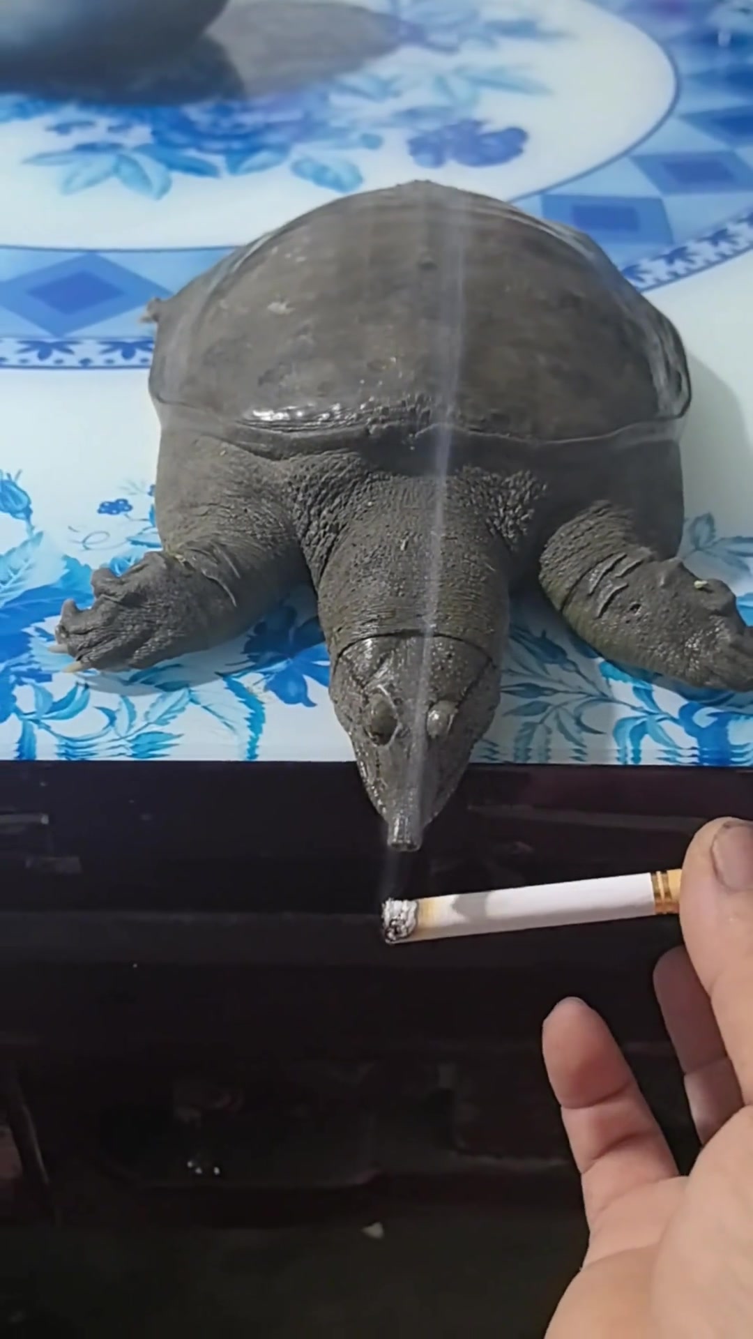 我找遍了这世界的任何角落都没有找到那时的那种感觉