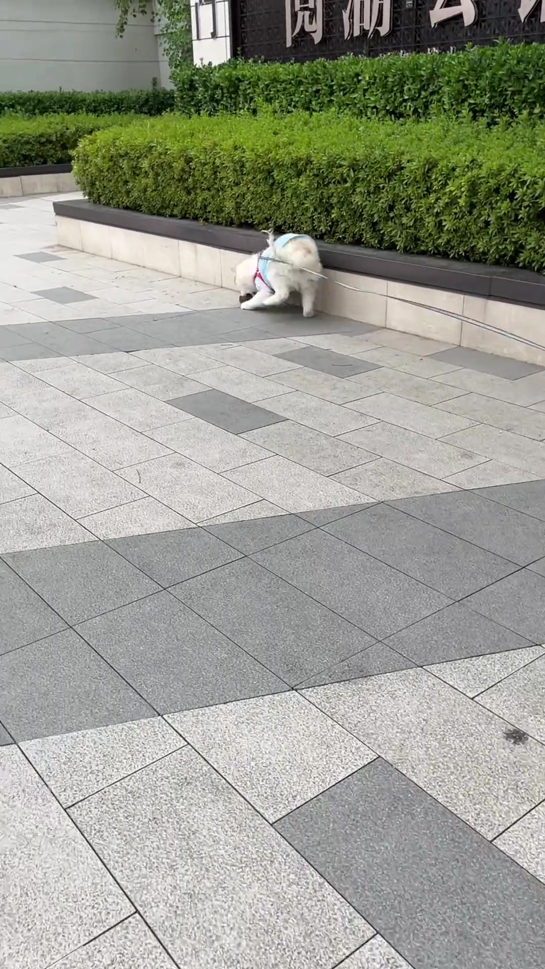 老鼠：鼠鼠我呀，今天不回家吃饭了