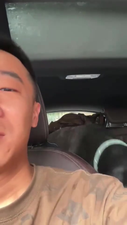 这狗子太热情了，今天不用洗脸了