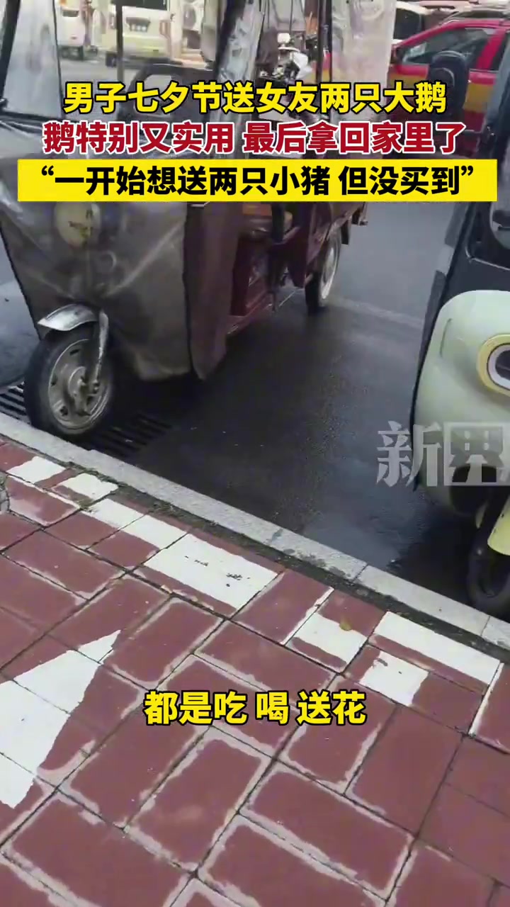 男子七夕节送女友两只大鹅，鹅特别又实用最后拿回家里了