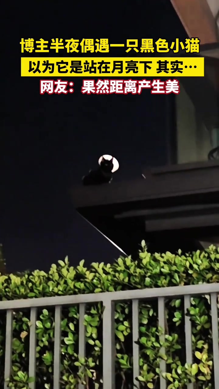 以为它是站在月亮下其实...