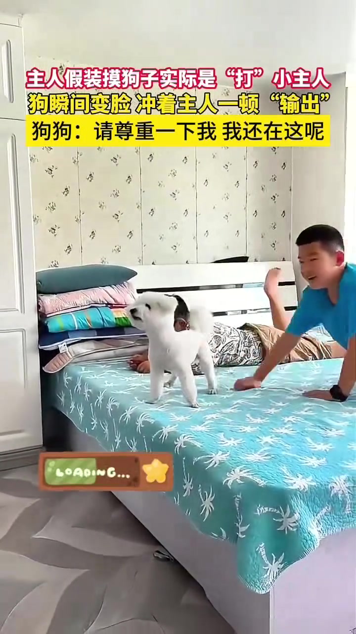主人假装摸狗子实际是“打”小主人，狗瞬间变脸
