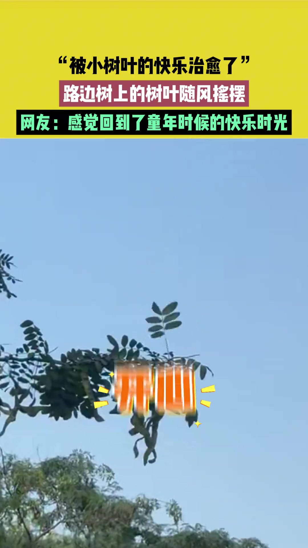 网友：感觉回到了童年时候的快乐时光