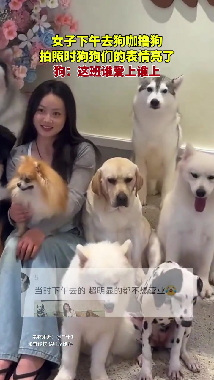 狗：这班谁爱上谁上