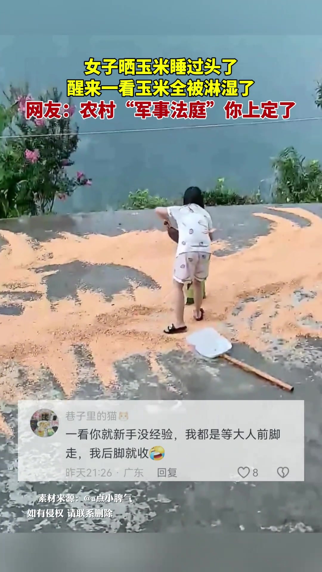 女子晒玉米睡过头了，醒来一看玉米全被淋湿了