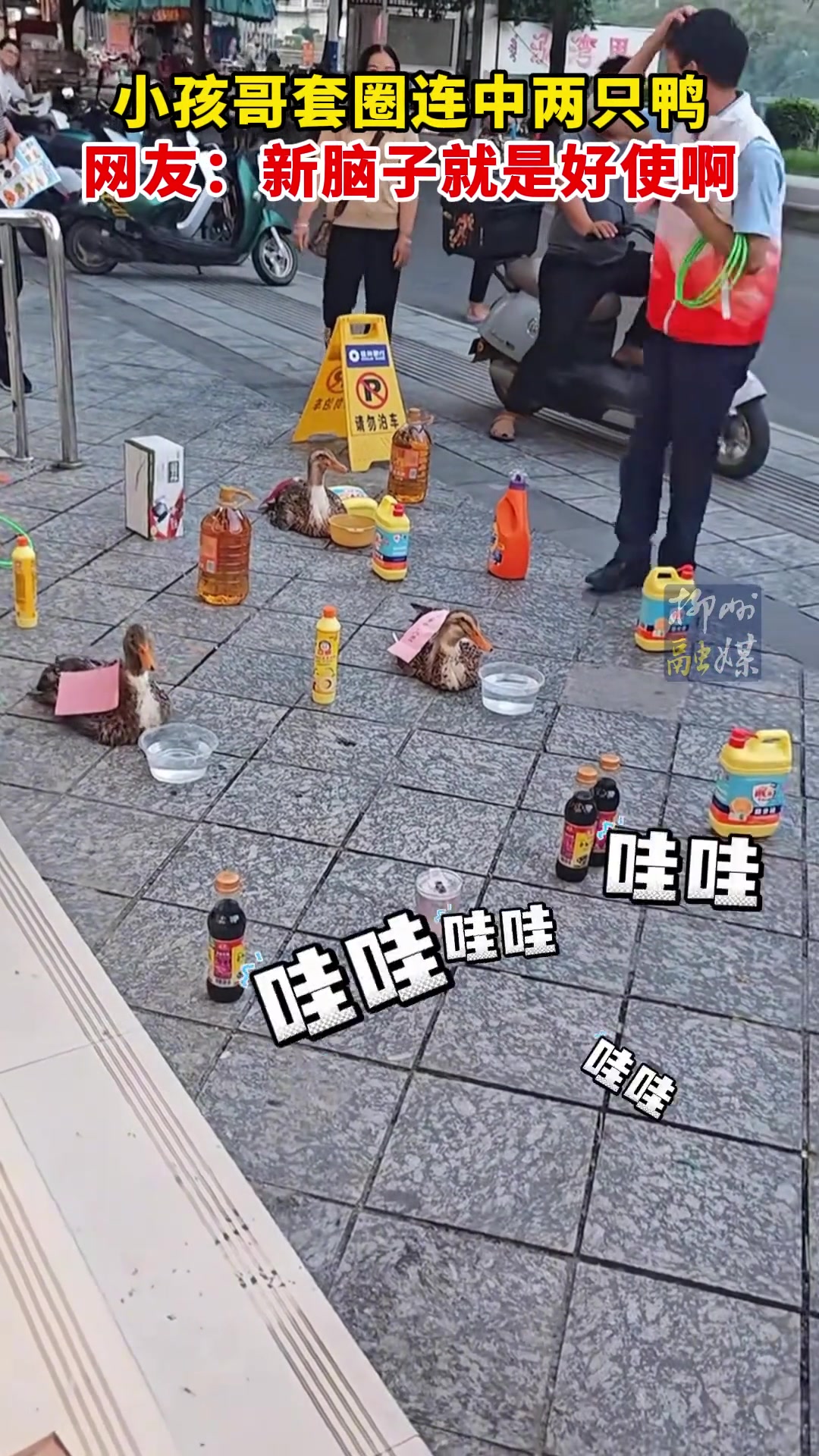 这波新手光环的神操作简直看呆路人！