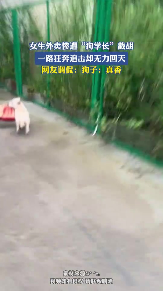 女生外卖惨遭“狗学长”截胡，一路狂奔追击却无力回天