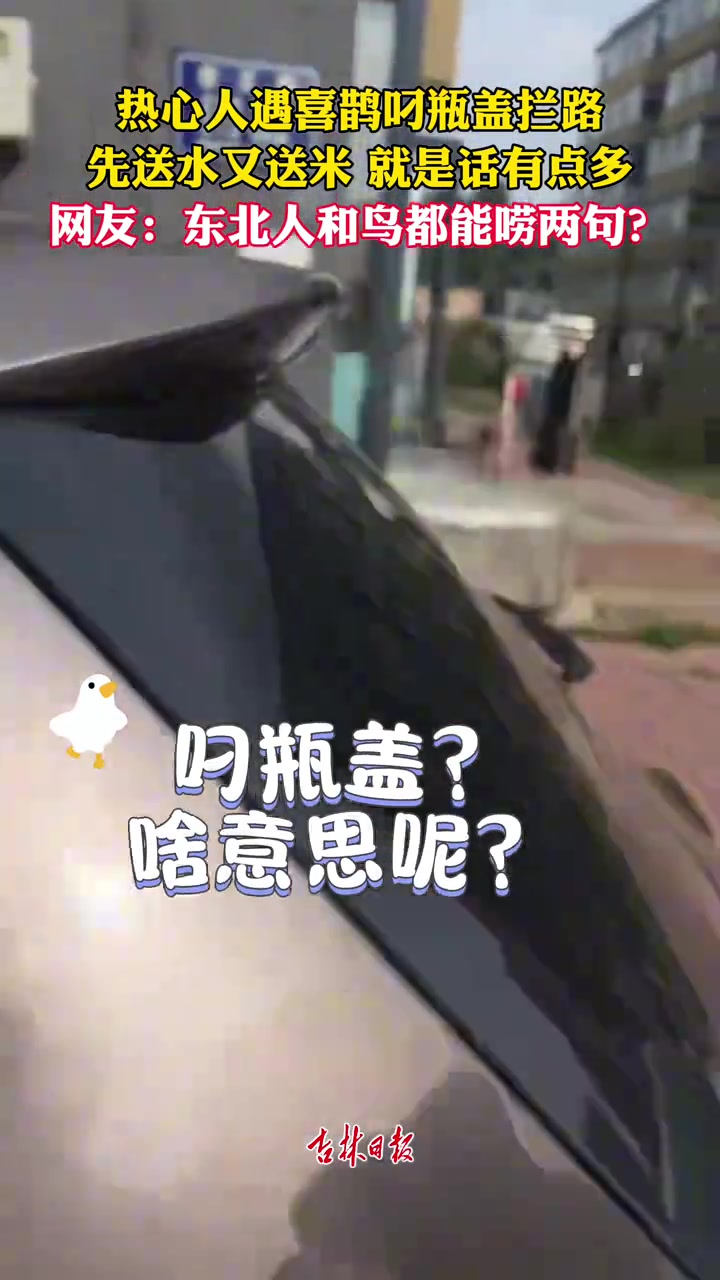 热心人遇喜鹊叼瓶盖拦路，先送水又送米，就是话有点多