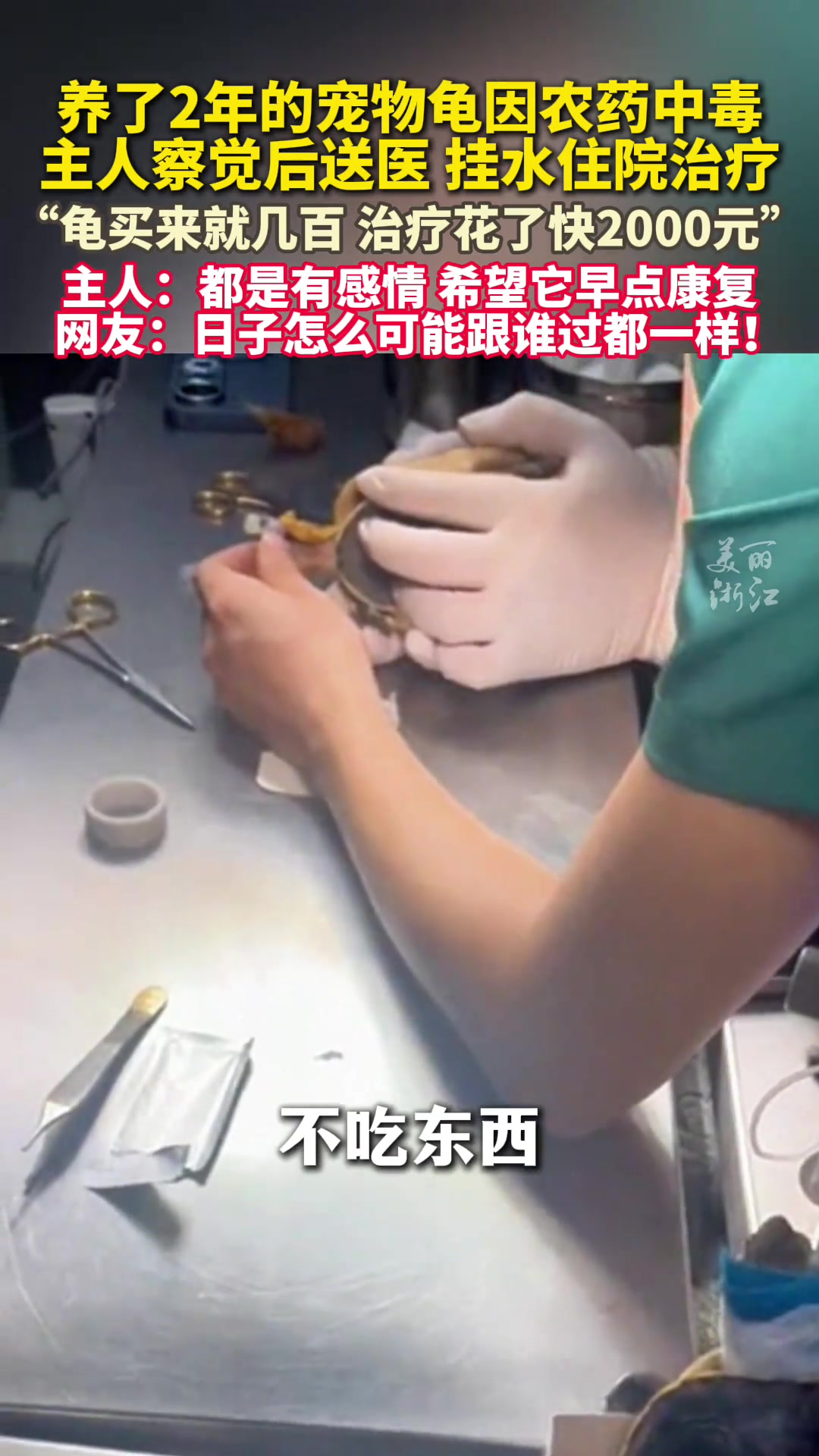 买了就几百元，治疗花了快2000元