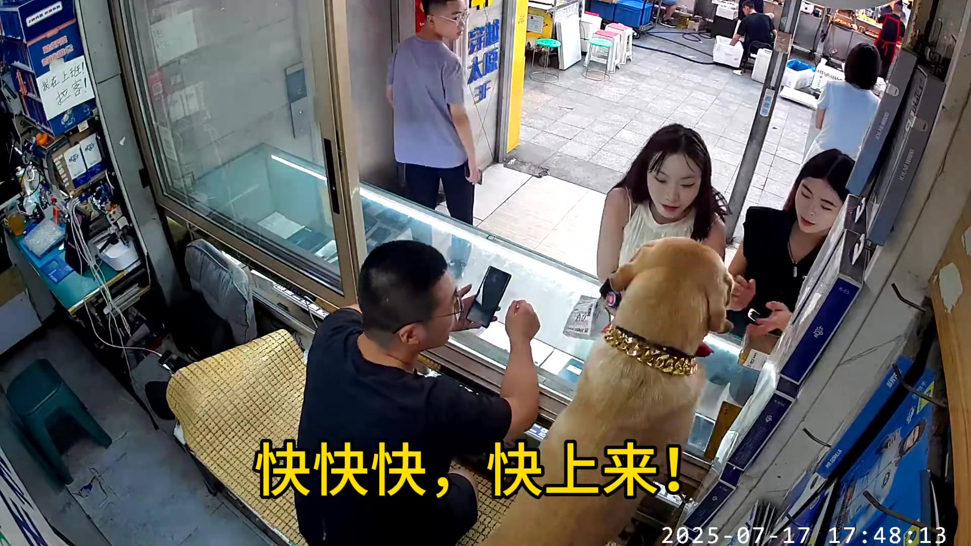 只不过是大哥捕获美女的工具罢了...