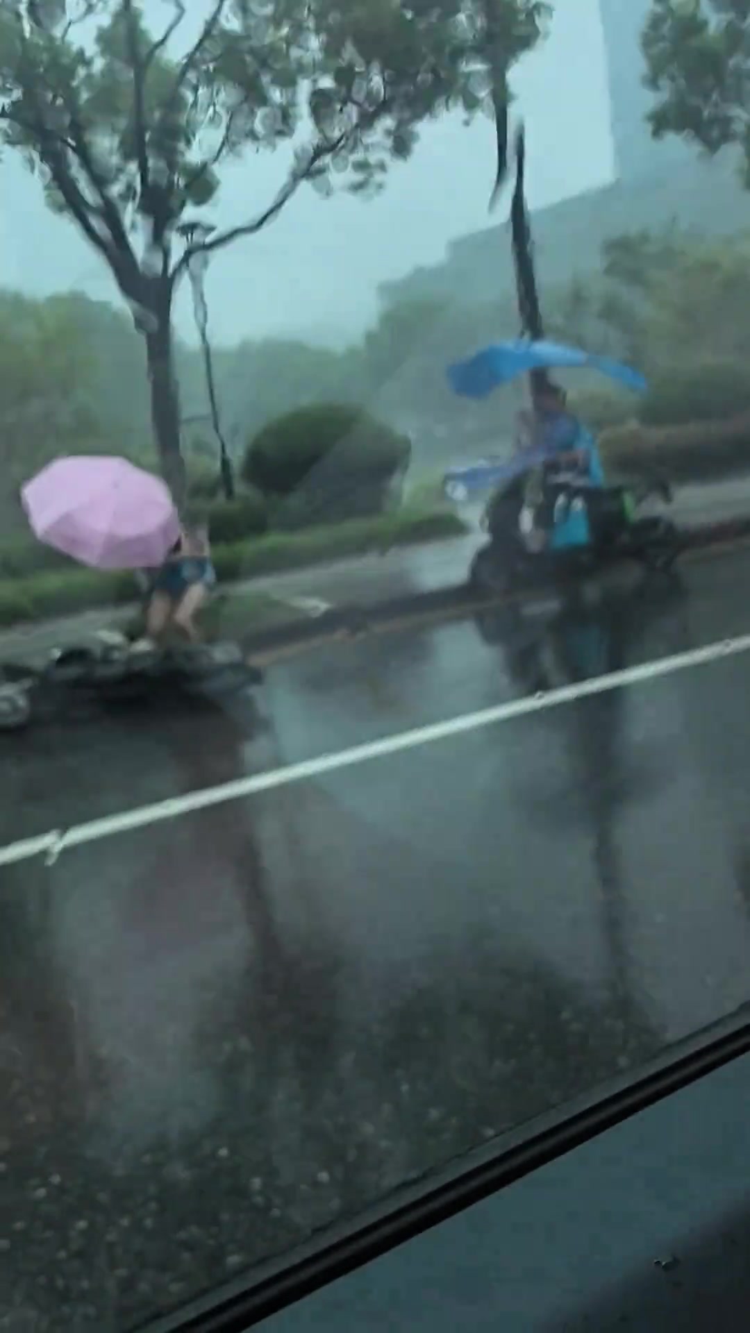 小姐姐被風(fēng)吹倒了，我脫衣服只是為了幫她！