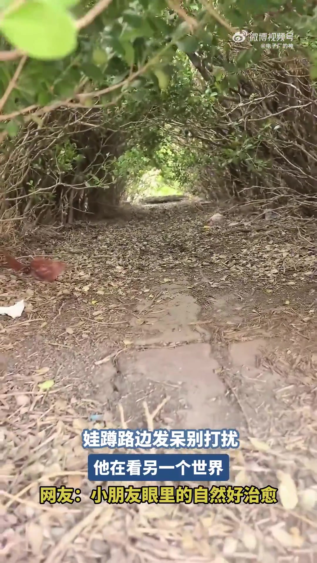 娃蹲路边发呆别打扰，他在看另一个世界！