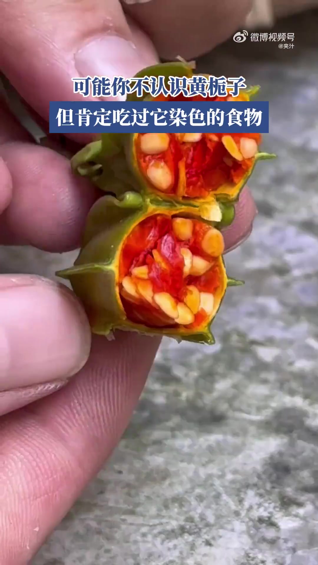 可能你不認(rèn)識(shí)黃梔子，但肯定吃過它染色的食物