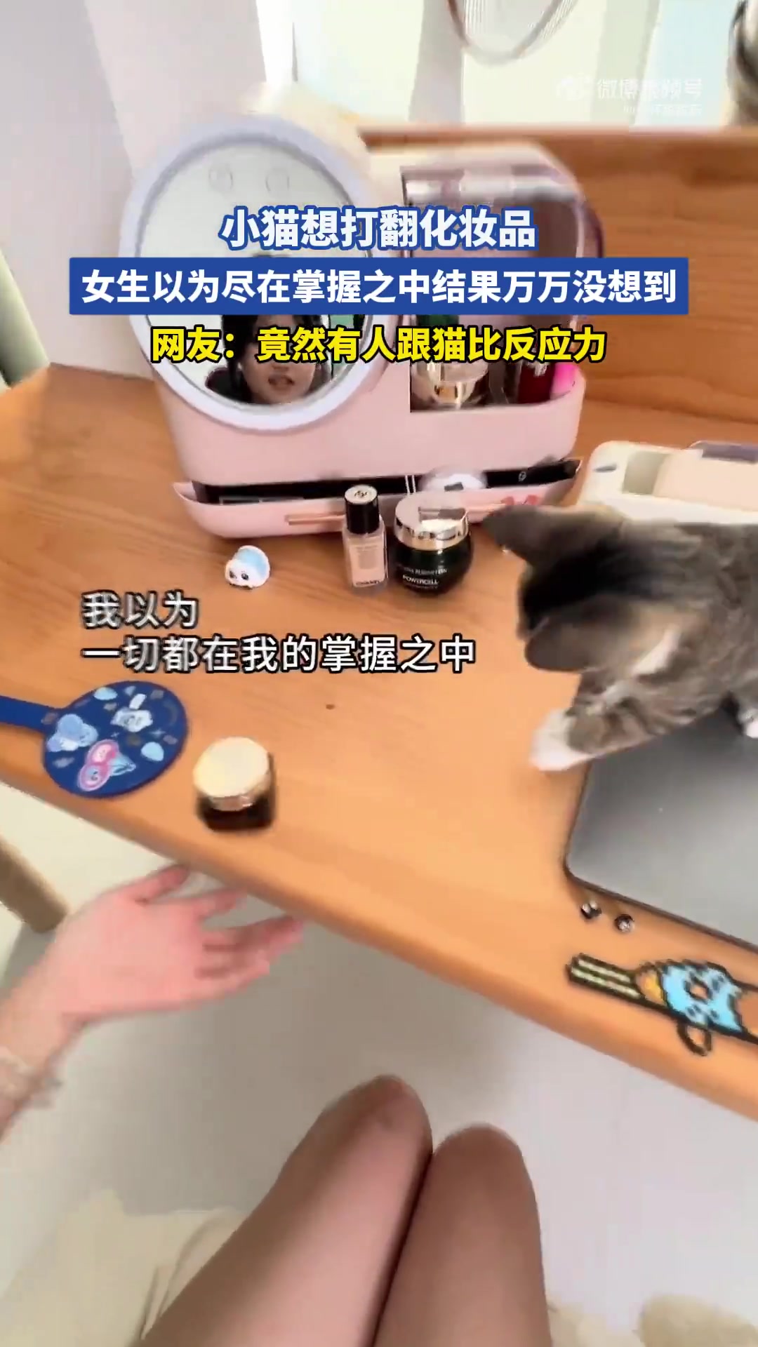 小猫想打翻化妆品，女生以为尽在掌握之中结果万万没想到
