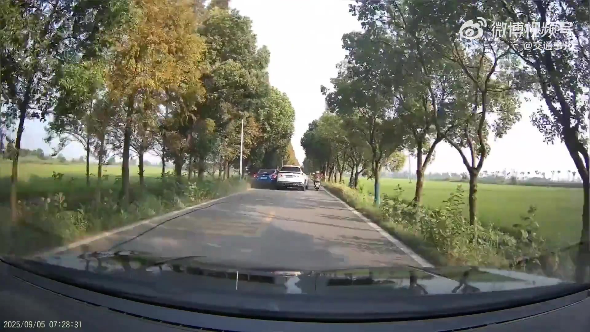 當(dāng)超車遇上超車，直接把電瓶車擠到溝里去了