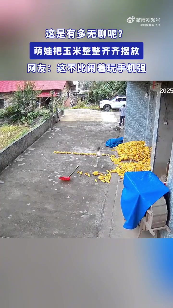 这是有多无聊呢萌娃把玉米整整齐齐摆放！