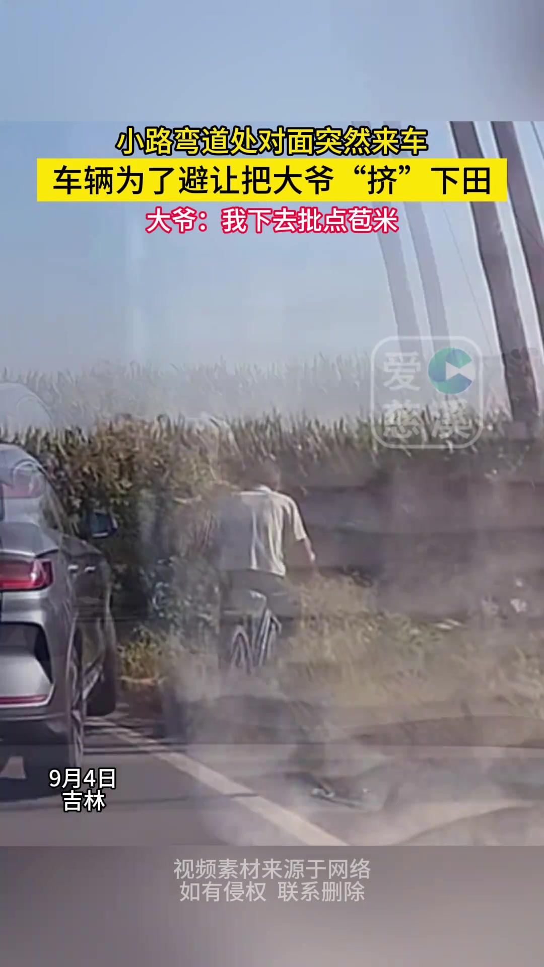 小路弯道处对面突然来车，车辆为了避让把大爷“挤”下田