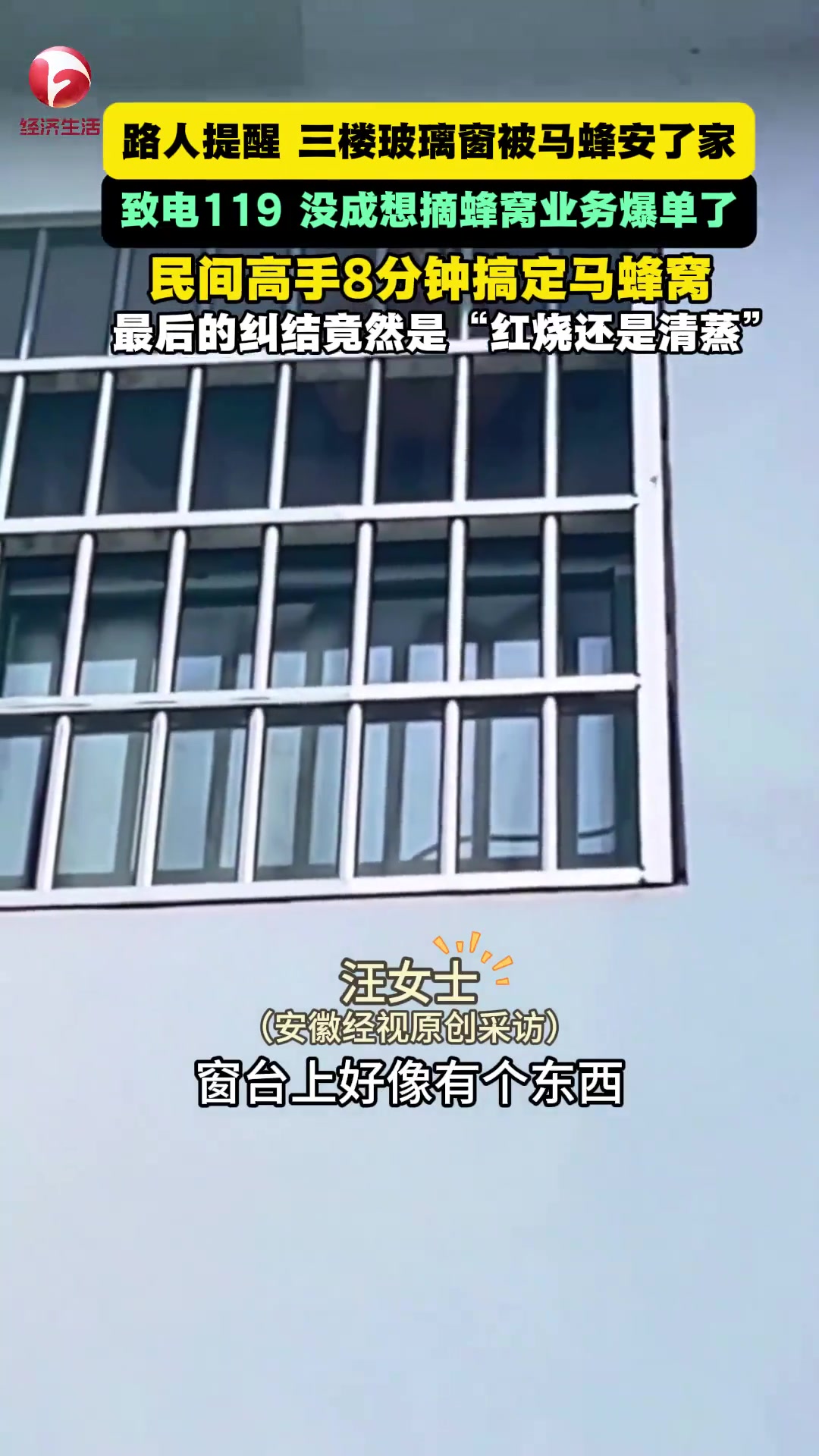 玻璃窗被馬蜂安了家，結(jié)果如何你猜不到