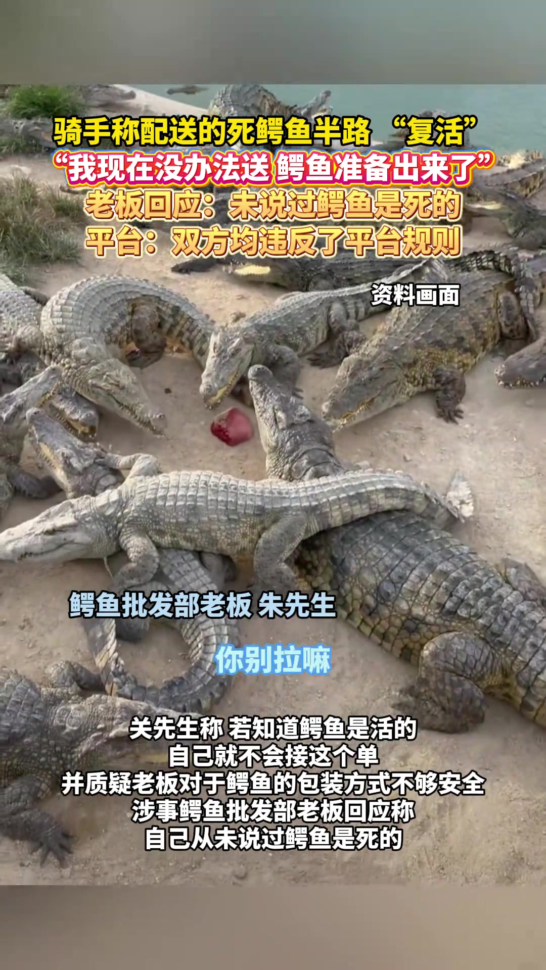 騎手稱配送的死鱷魚半路“復活”，沒辦法送，鱷魚準備出來了