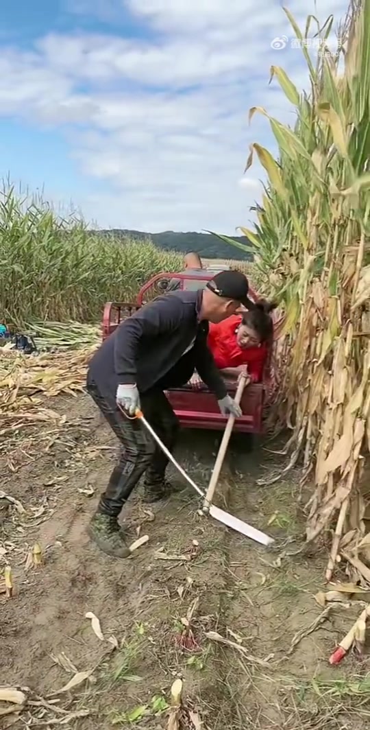 这种方式干活，要是摔个跟头不得了！