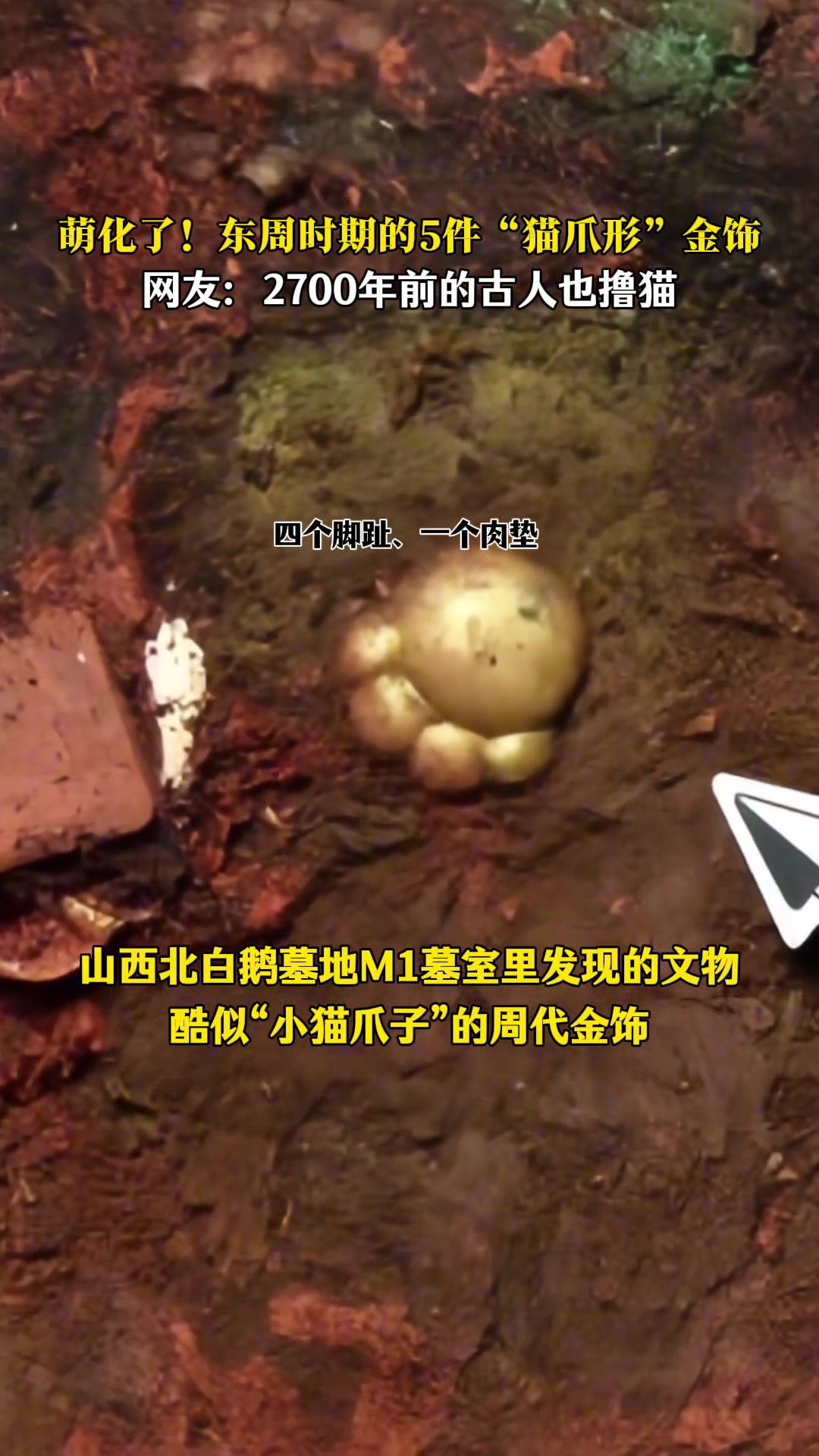 周代墓葬出土的形似貓爪金飾，古人也愛(ài)擼貓
