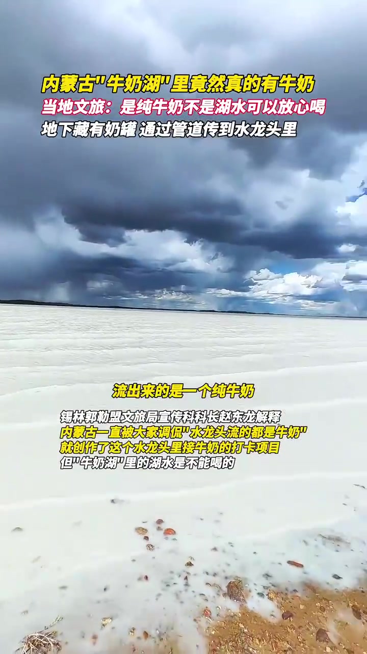 内蒙古“牛奶湖”里竟然真的有牛奶