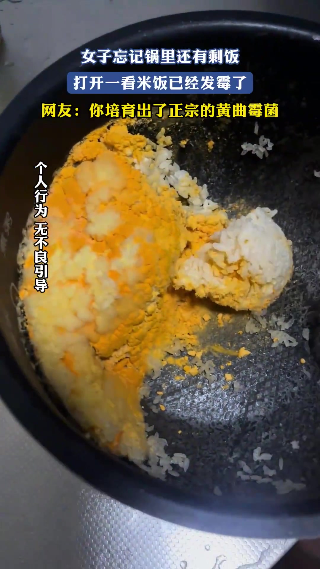 女子忘记锅里还有剩饭，打开一看米饭已经发霉了