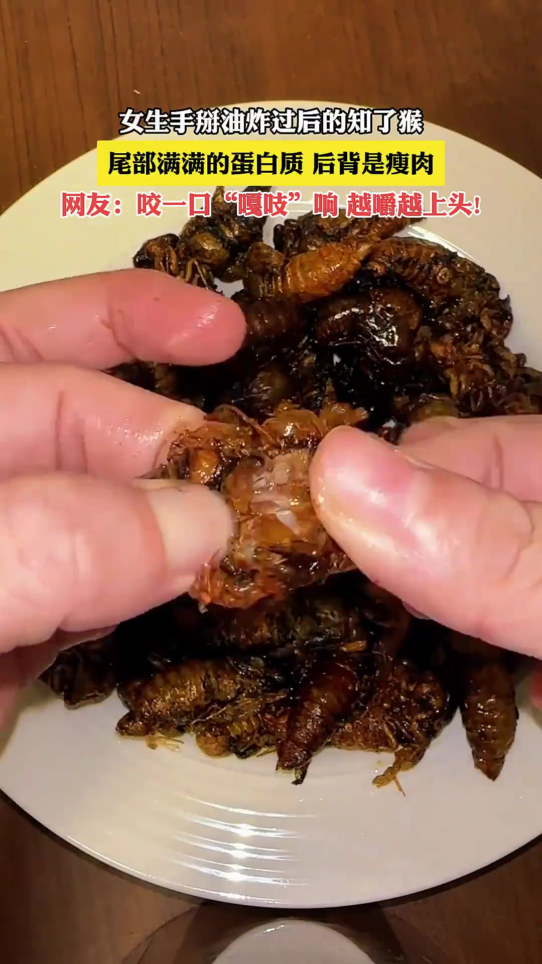 女生手掰油炸过后的知了猴，尾部满满的蛋白质，后背是瘦肉