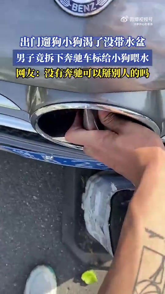 小狗渴了，男子拆奔驰车标给它喂水