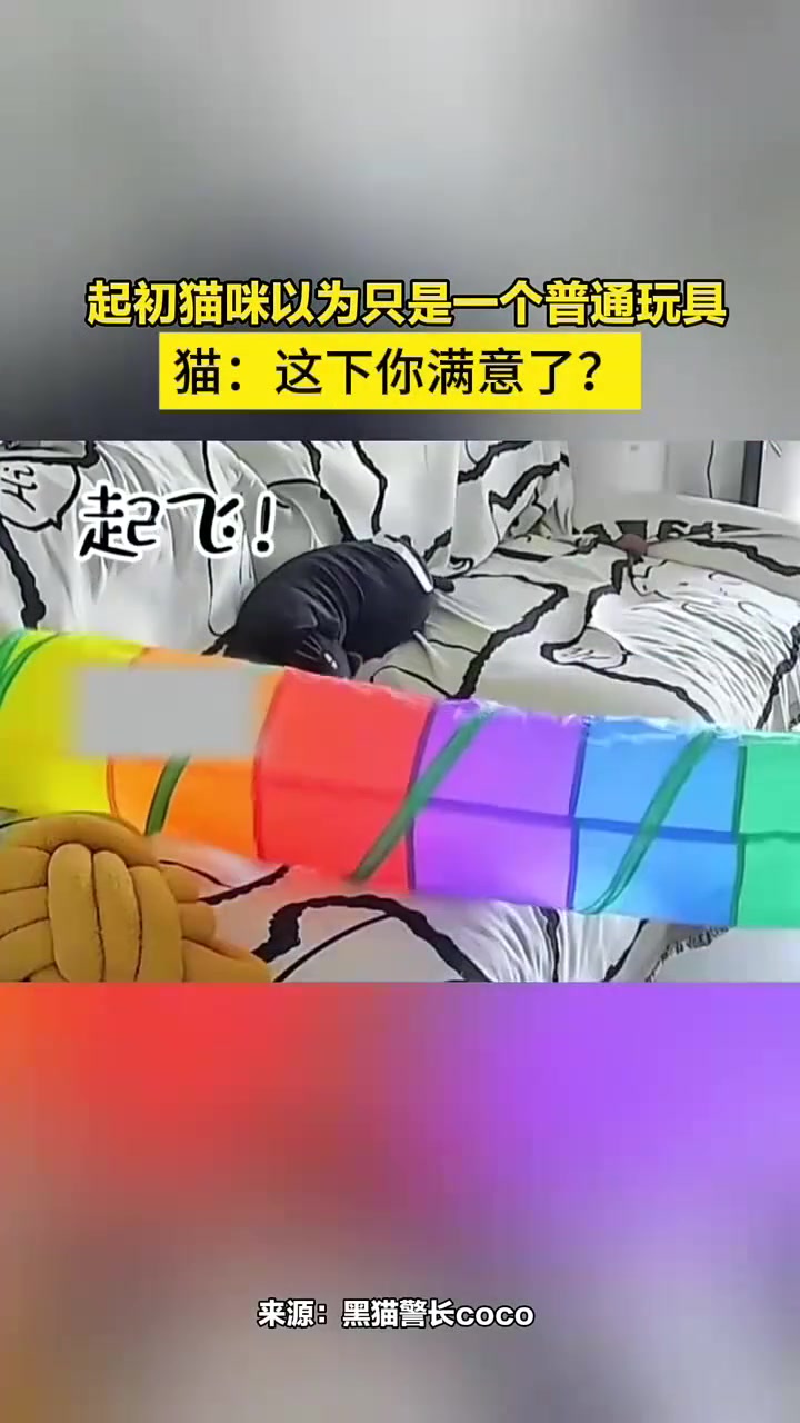 猫：这下你满意了！