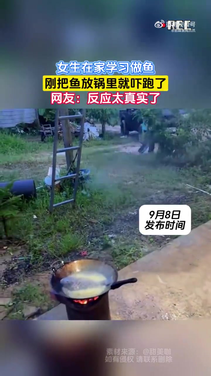 女生在家學(xué)習(xí)做魚，剛把魚放鍋里就嚇跑了