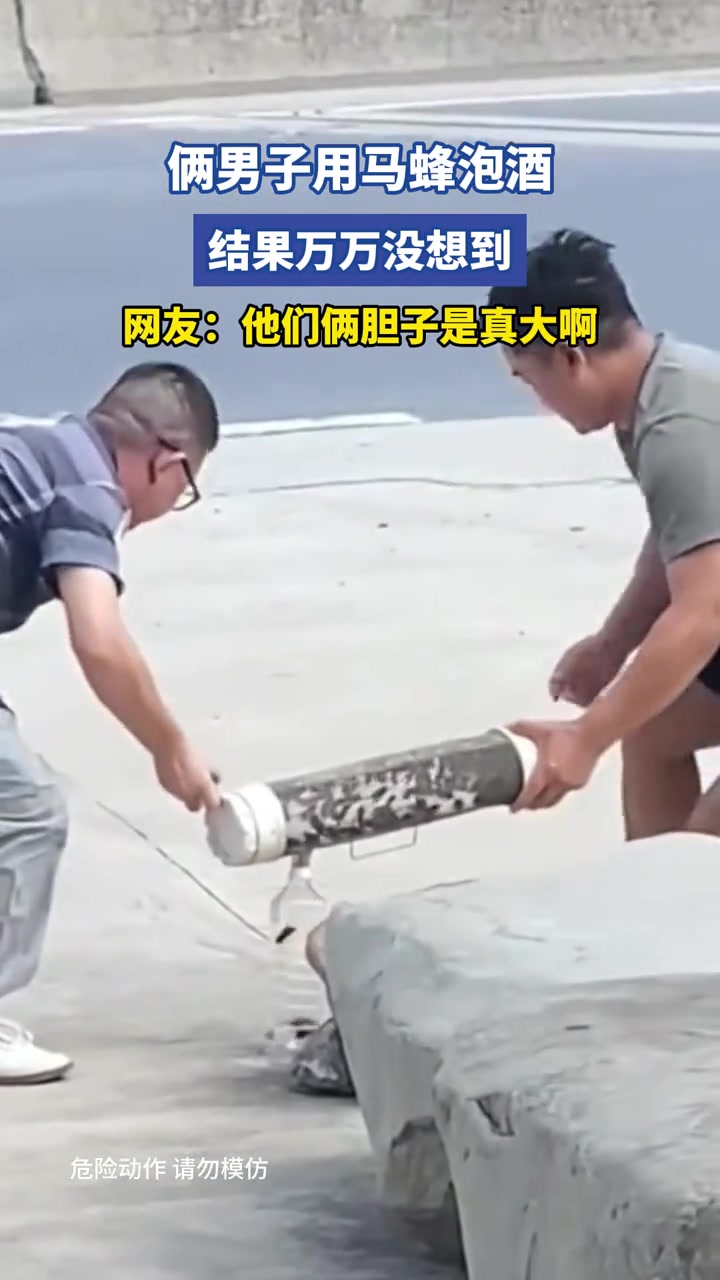 俩男子用马蜂泡酒，结果万万没想到