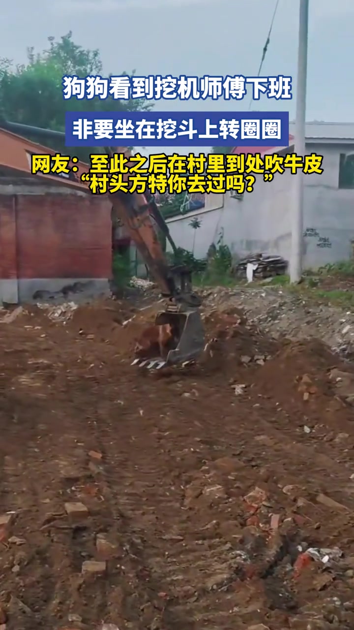 狗狗看到挖機師傅下班，非要坐在挖斗上轉(zhuǎn)圈圈
